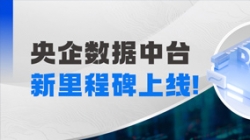 阶段性成就上线！CHOICE旗舰厅科技赋能某十万亿级央企集团管控领域模型建设